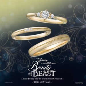 美女と野獣　2017年～2019年定番モデル