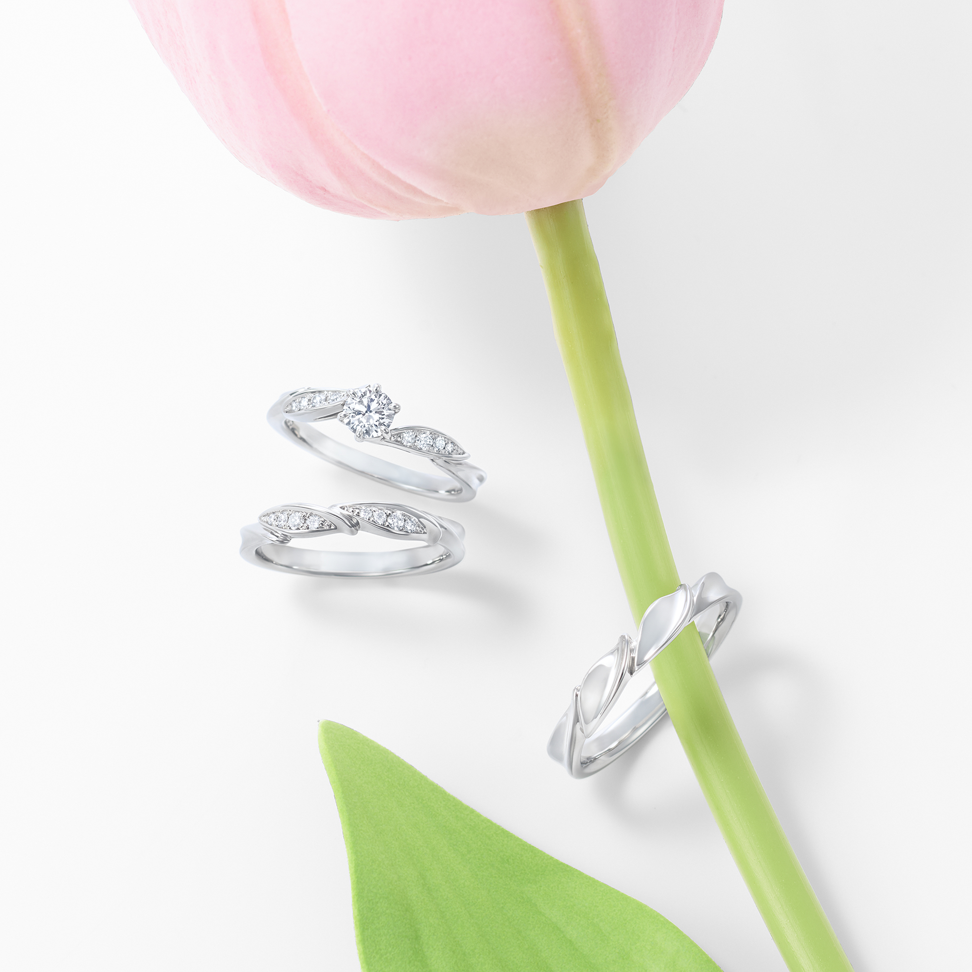 ロイヤル・アッシャーの婚約指輪と結婚指輪