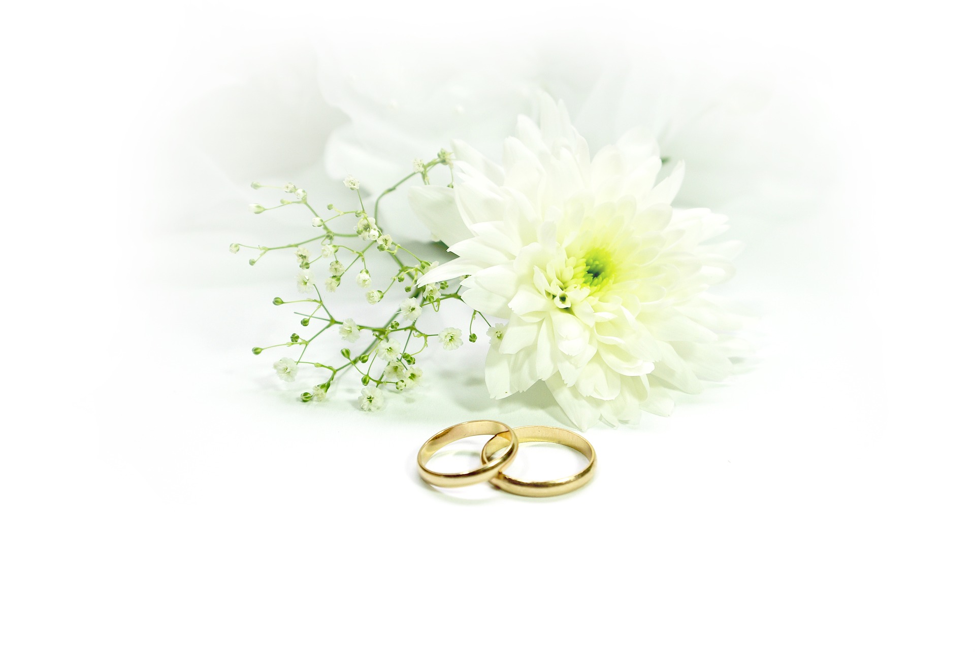 松本市で試着できるゴールドの結婚指輪をまとめてみました！