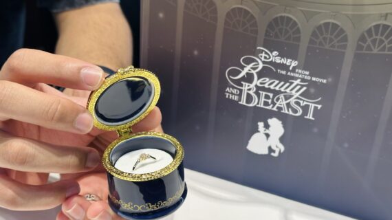 ディズニー美女と野獣の婚約指輪を持った男性の手元