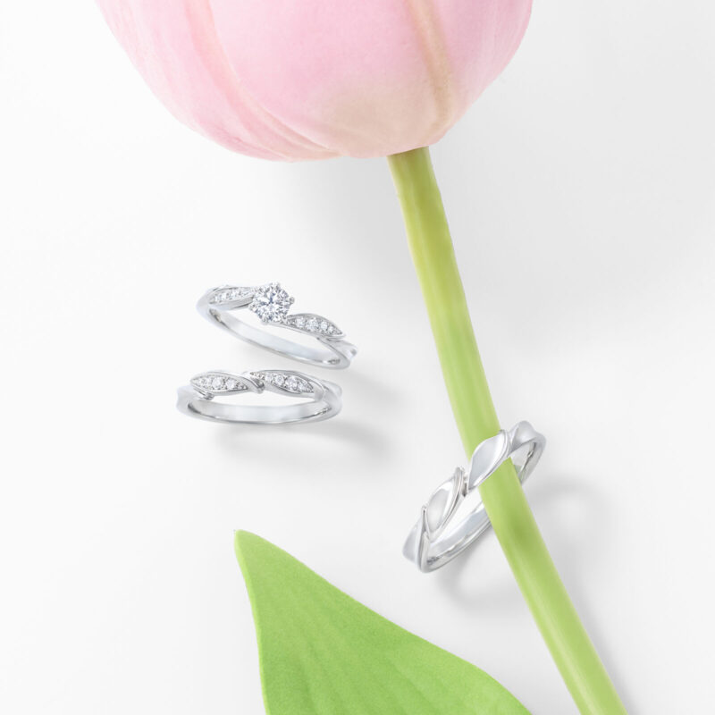 ERA821 WRA069 WRB079 - ロイヤル・アッシャー | セットリング