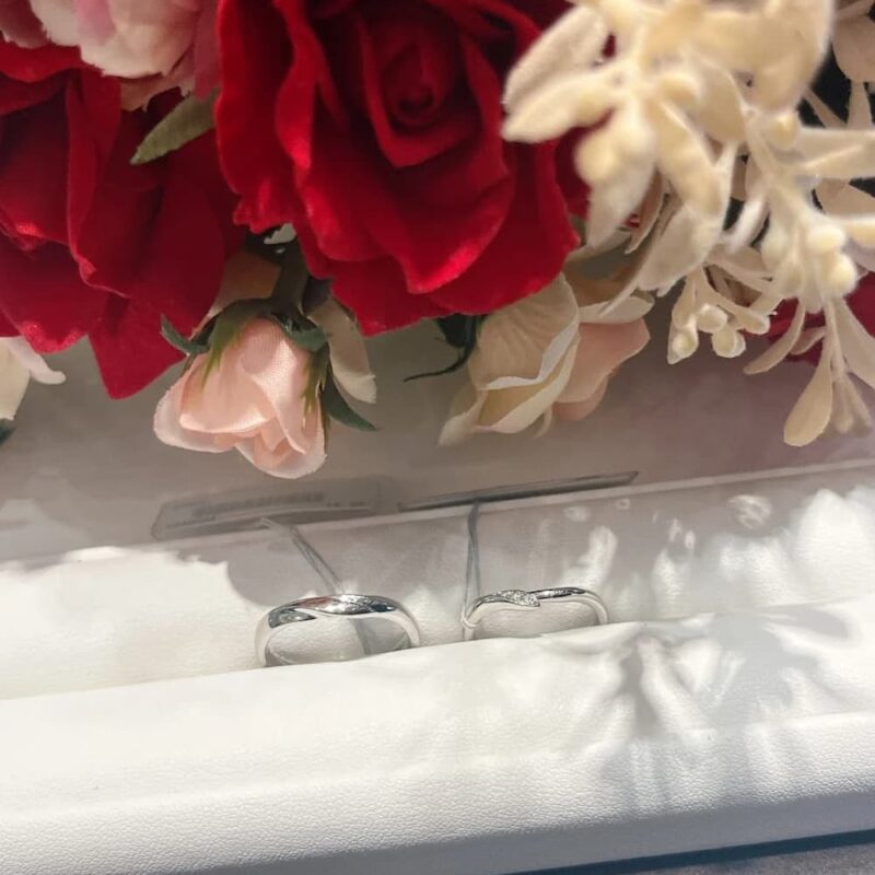 NIWAKAの「初桜」