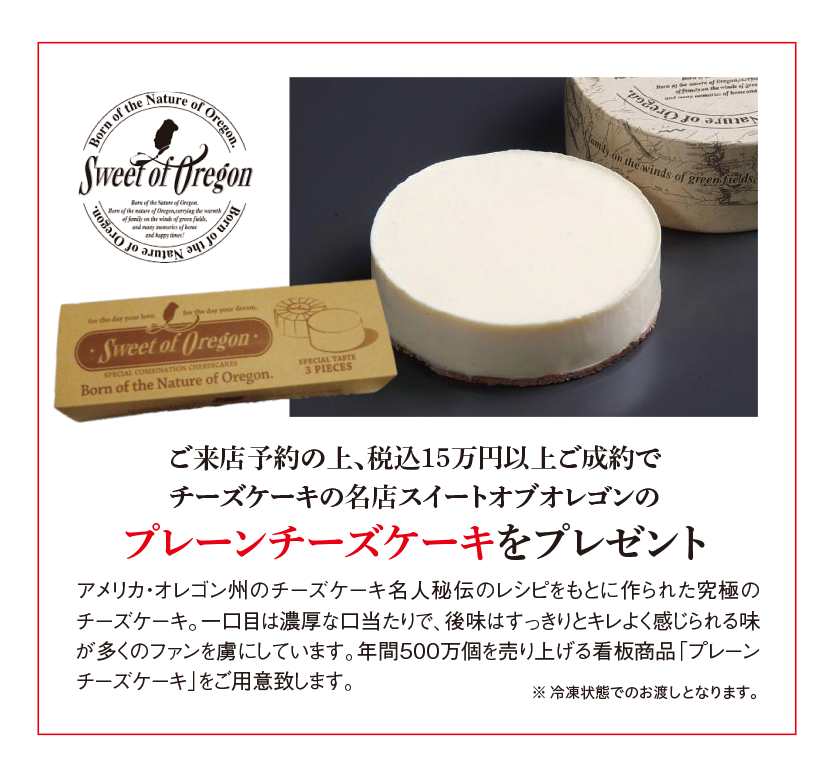 プレーンチーズケーキ