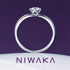 俄 NIWAKA 結